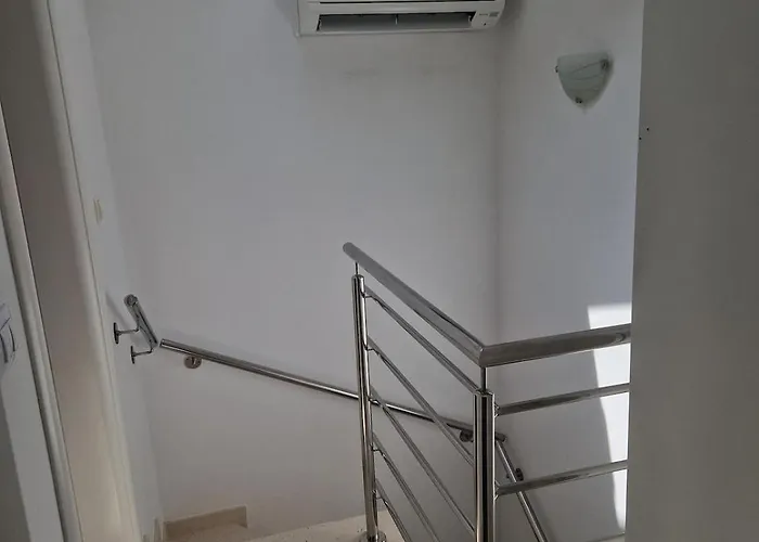 Vacation Dora * 巴斯卡